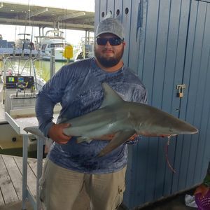 Meet your Posher, Jake